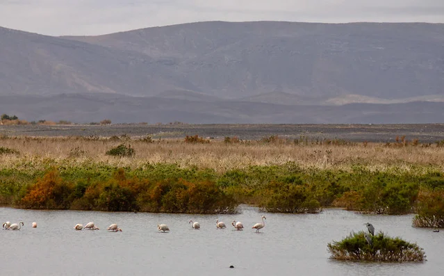 Lago Dayet Sriji (Lago de Merzouga)