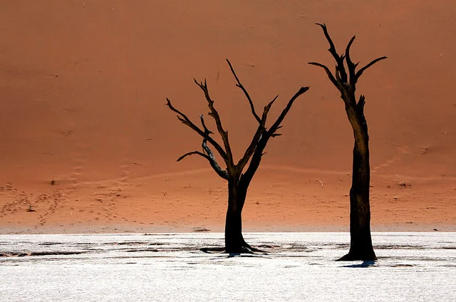 Sossusvlei