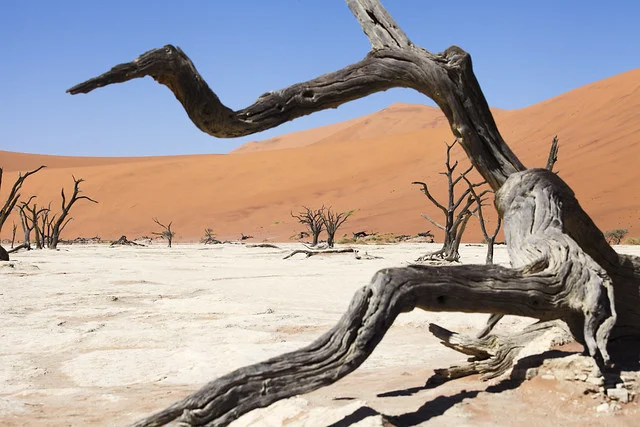Deadvlei