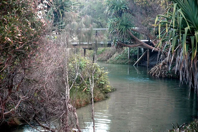 Arroyo Eli