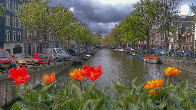 Ripley's ¡No lo creerías! Ámsterdam