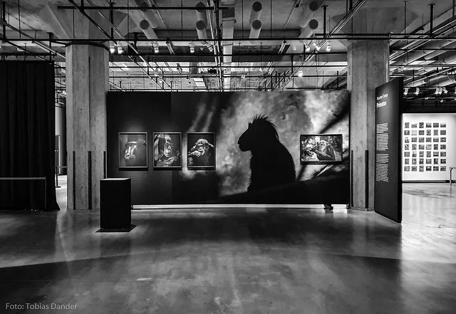 Museo Neerlandés de la Fotografía