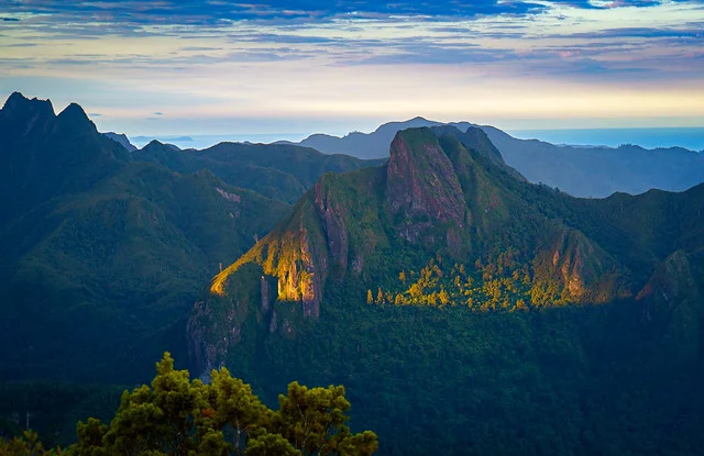 Parque Forestal de Coromandel