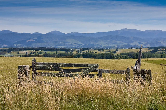 Wairarapa