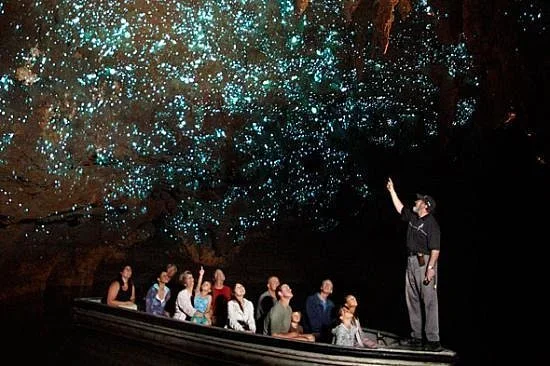 Cuevas de gusanos luminosos de Te Anau