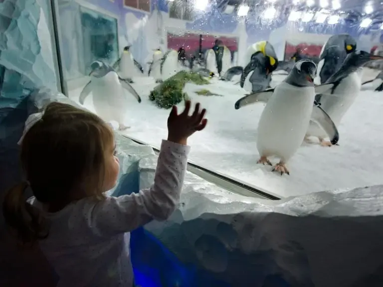 Acuario SEA LIFE® de Kelly Tarlton