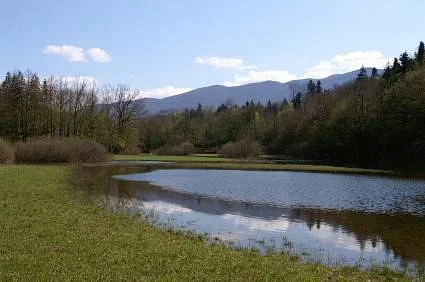 Región kárstica