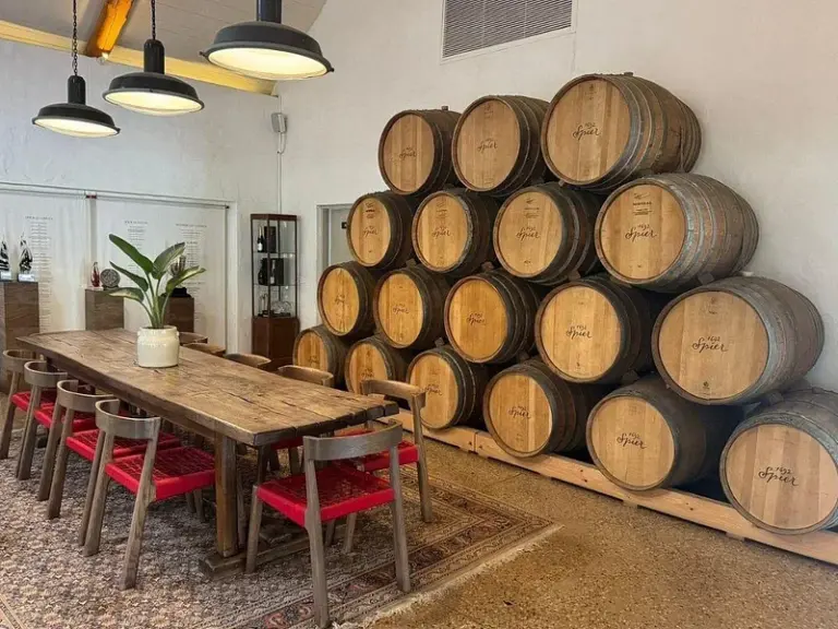 Finca Vitivinícola Spier