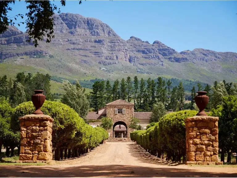Finca Waterford