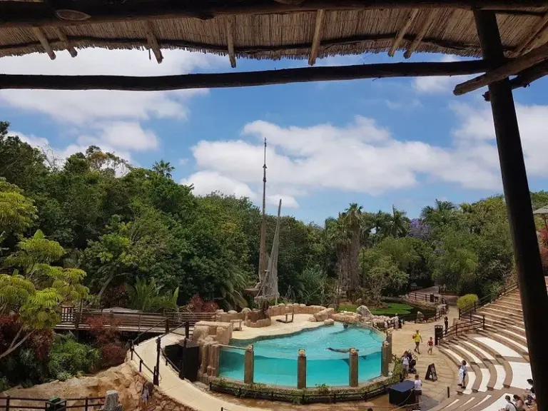 Parque Jungla Las Águilas