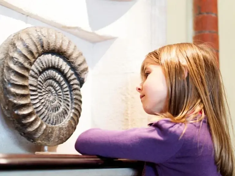 Museo de la Naturaleza y la Arqueología (MUNA)