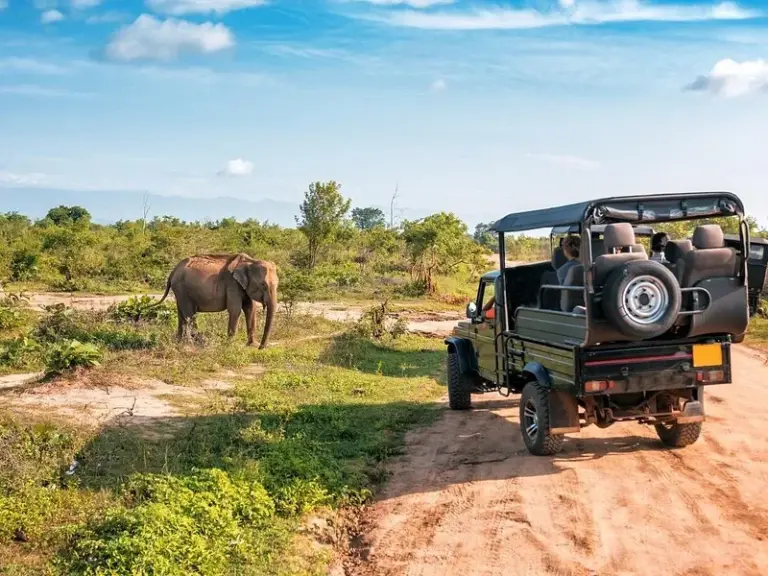 Parque Nacional Udawalawe