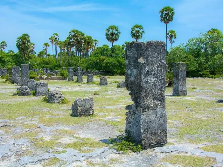 Neduntheevu (Isla Delft)