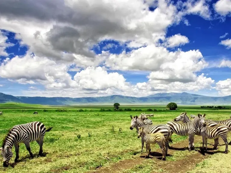 Área de Conservación de Ngorongoro
