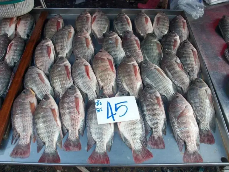 Mercado Khlong Toei