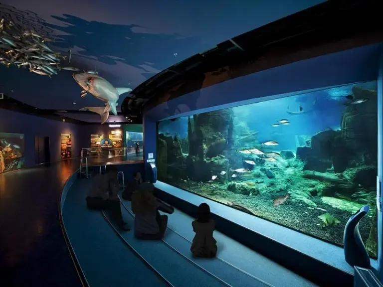 Acuario de Estambul