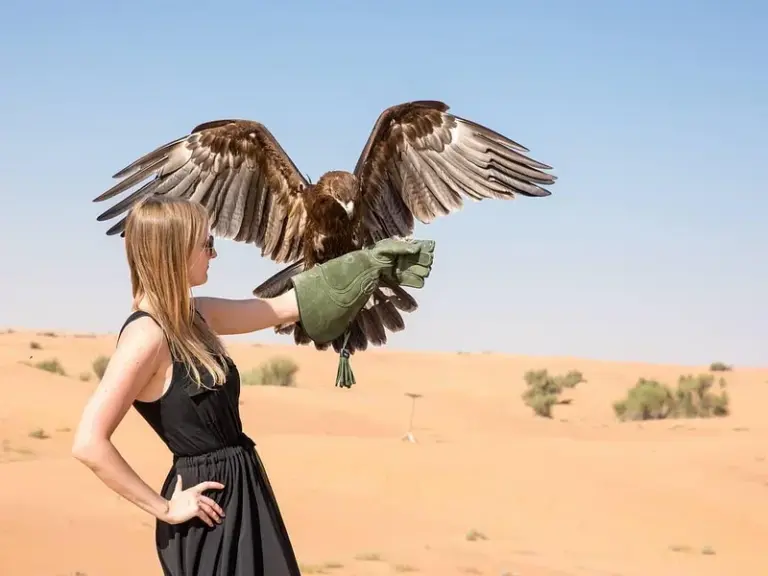 Reserva de Conservación del Desierto de Dubái (DDCR)