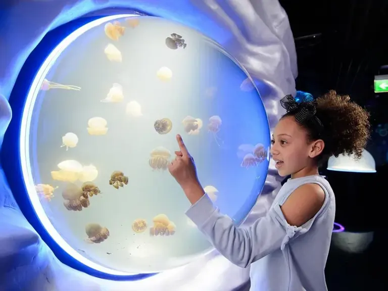 Acuario SEA LIFE® de Londres