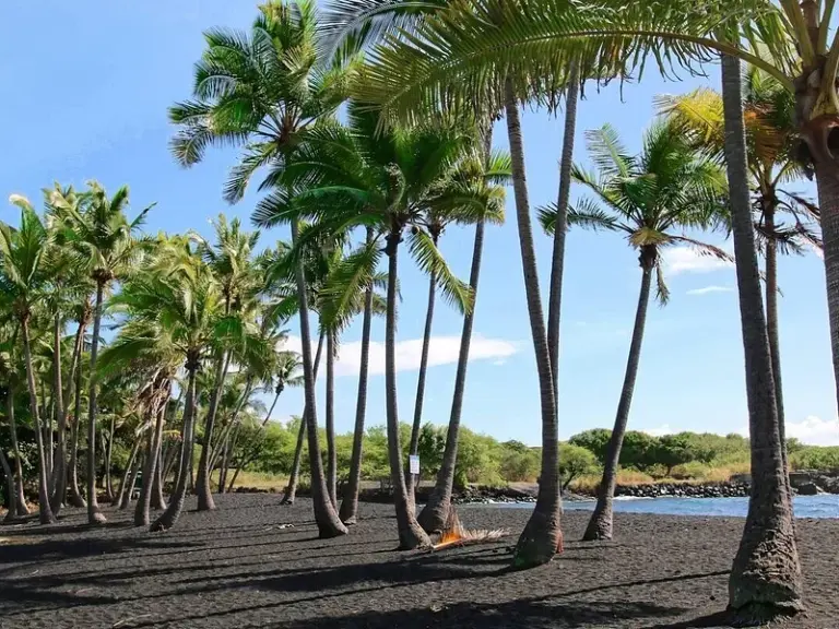 Playa de Arena Negra de Punaluʻu