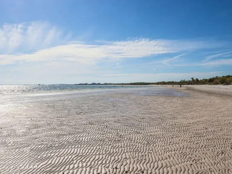 Bahía de San Carlos - Reserva Natural de Bunche Beach