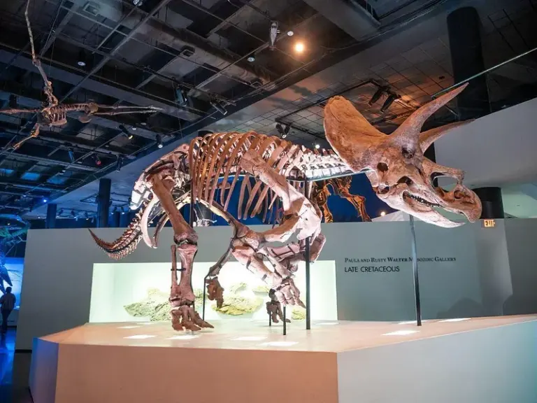 Museo de Ciencias Naturales de Houston