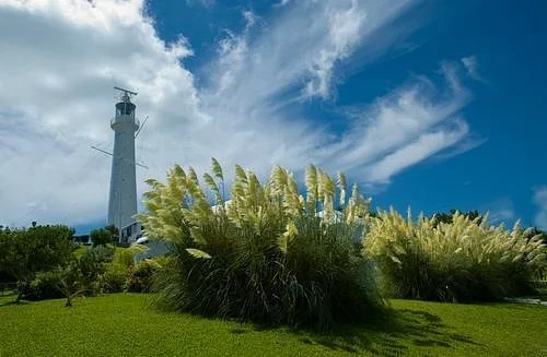 Faro de Gibbs Hill