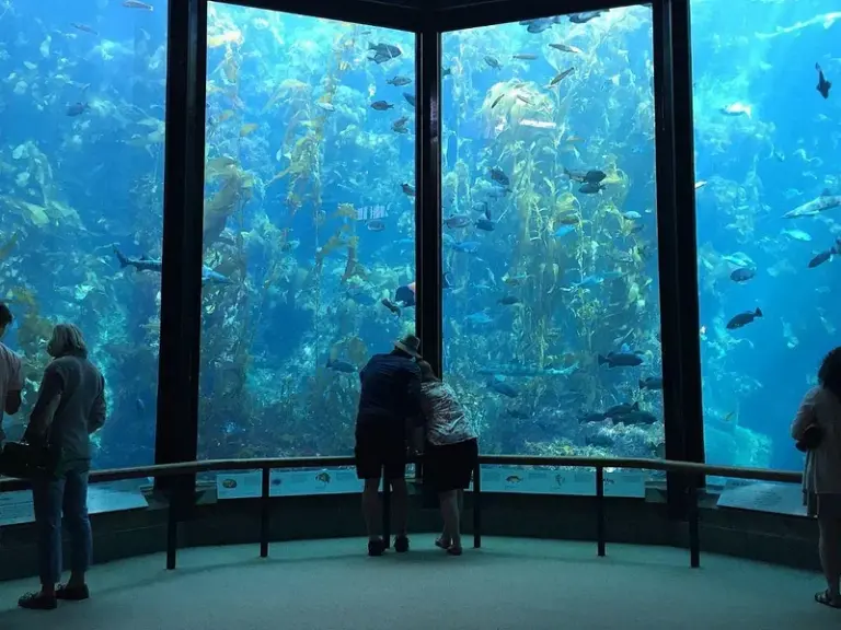 Acuario de la Bahía de Monterey