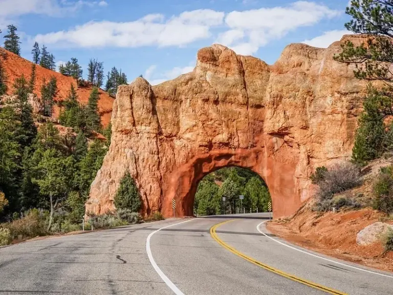 Carretera panorámica del cañón Zion