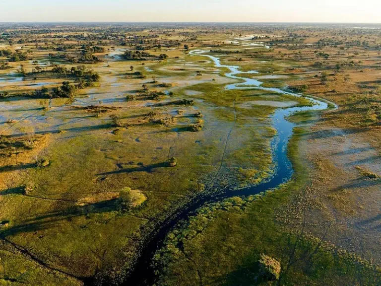Delta del Okavango