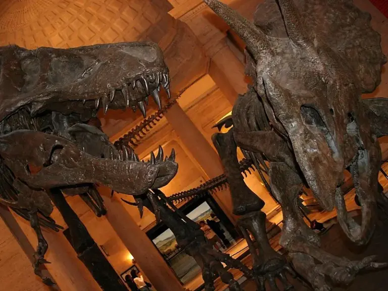 Museo de Historia Natural del Condado de Los Ángeles