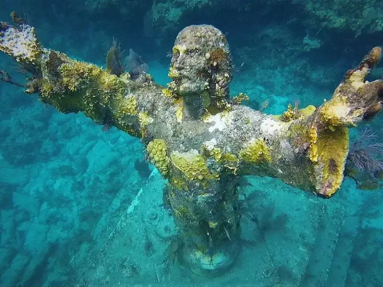 Parque Estatal del Arrecife de Coral John Pennekamp