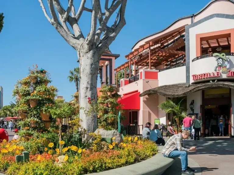 Distrito Downtown Disney®