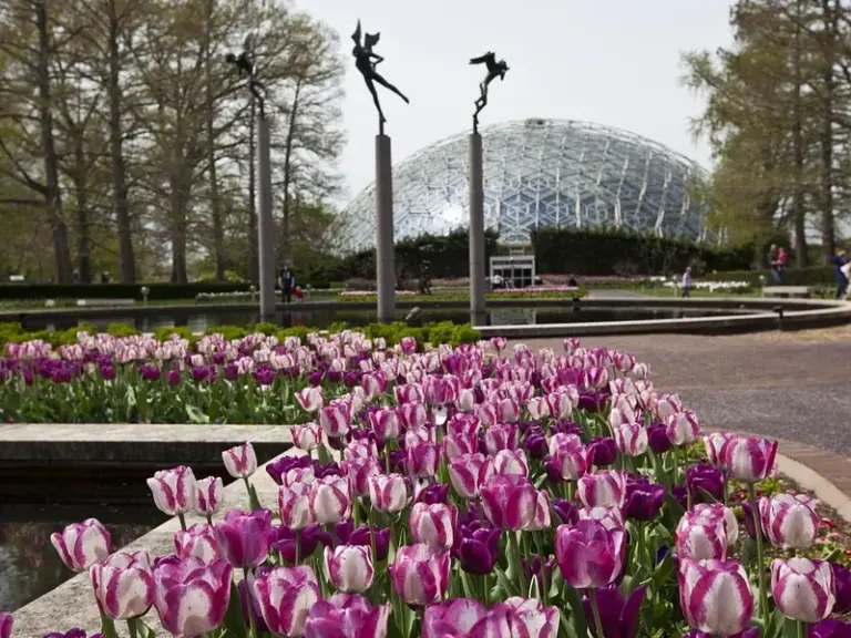 Jardín Botánico de Missouri