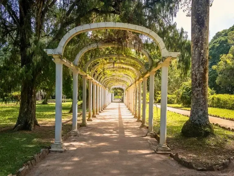Jardín Botánico de Río de Janeiro