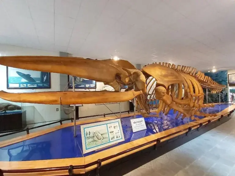 Museo Nacional de Oceanografía de Vietnam