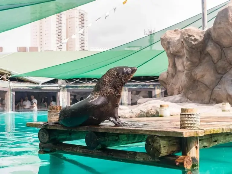 Acuario de São Paulo