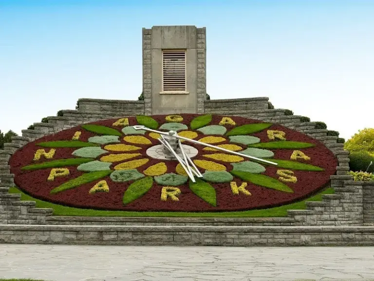 Reloj Floral