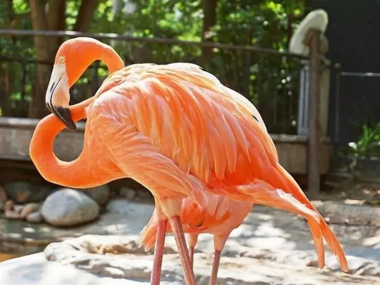 Zoológico de Barranquilla