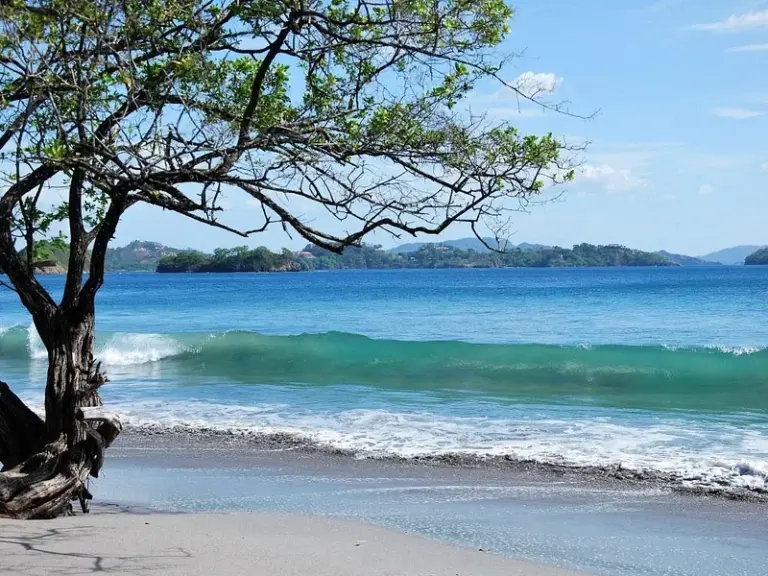 Playa Flamingo