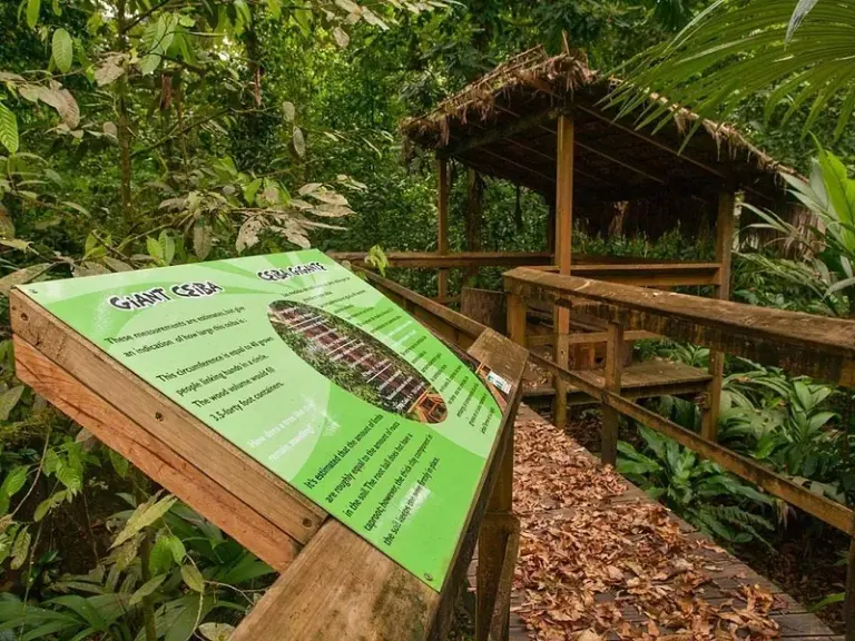 Reserva Forestal y Parque de Aventuras Cinco Ceibas