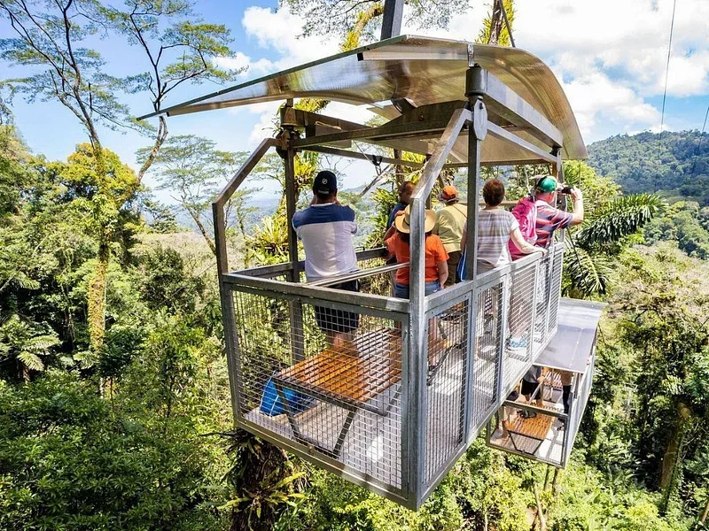 Bosque Lluvioso Veragua