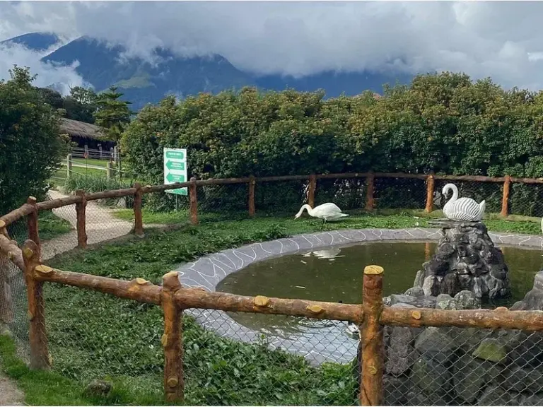 Parque de Animales