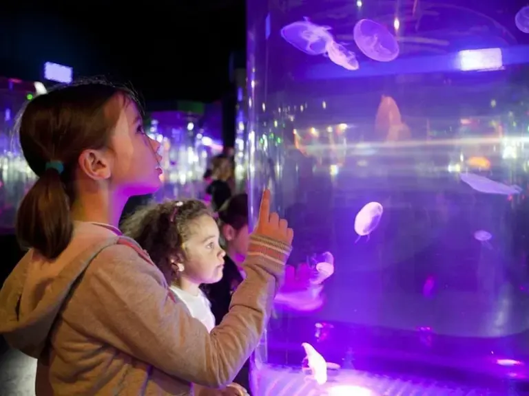 Acuario SEA LIFE® París Val d'Europe