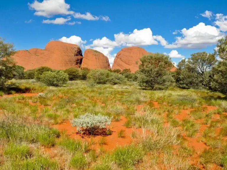 Parque del Desierto de Alice Springs