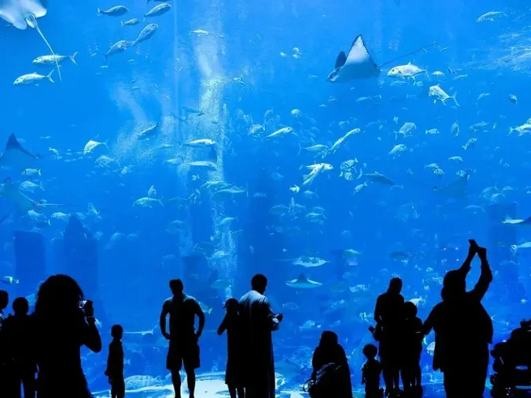 Planeta Océano Montpellier
