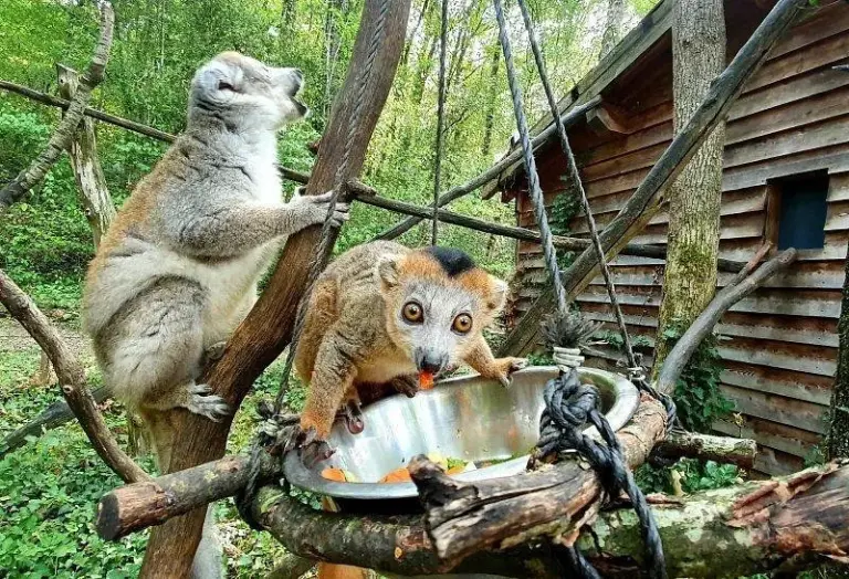 Reserva Zoológica de Calviac