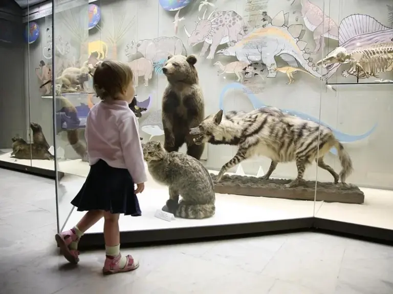 Museo de Australia Occidental – Perth