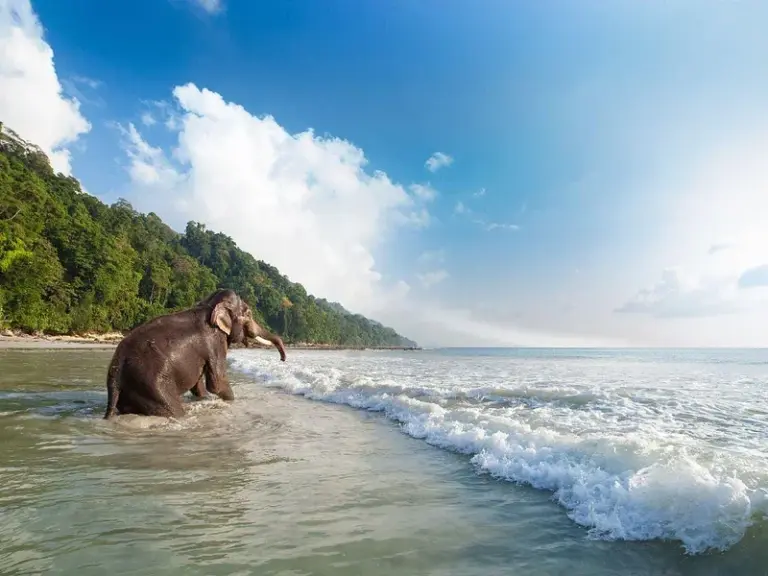 Playa del Elefante