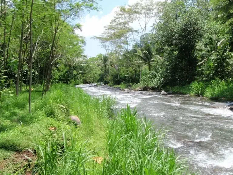 Río Telaga Waja