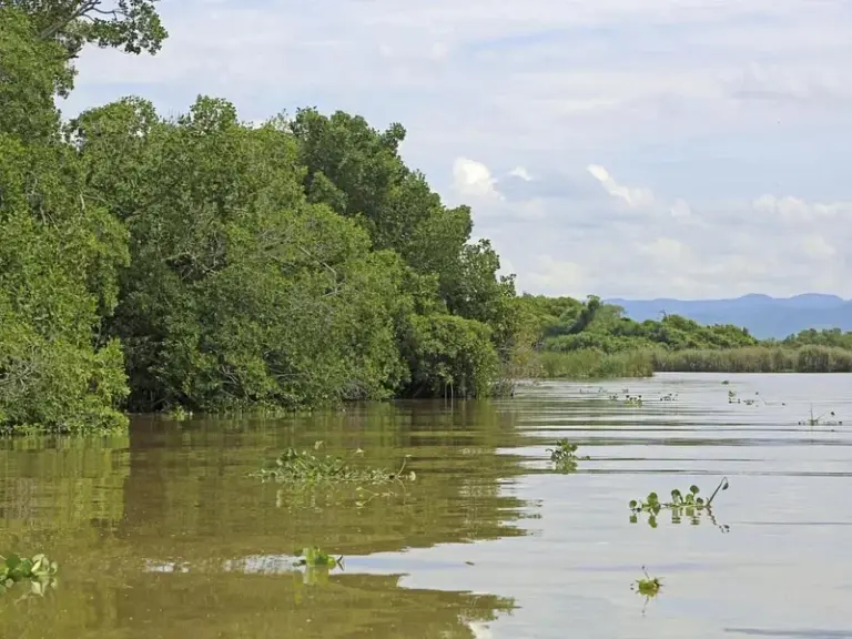 Río Negro